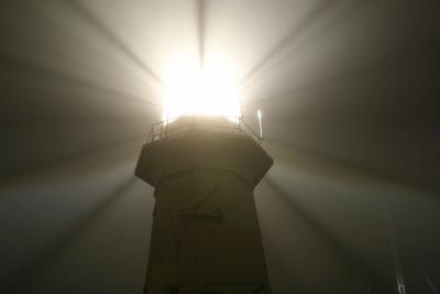   FOGGY LIGHT_004