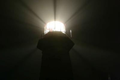     FOGGY LIGHT_005