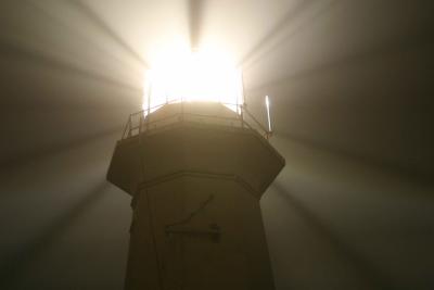    FOGGY LIGHT_009