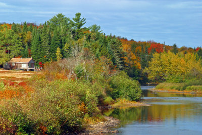 036  AUTUMN COLOURS