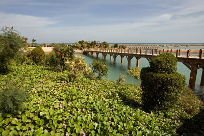 El Gouna: Canals and Greenery