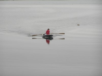 at_the_fish_plant