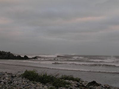 P1010019.JPG