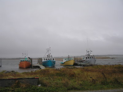 P1010012.JPG