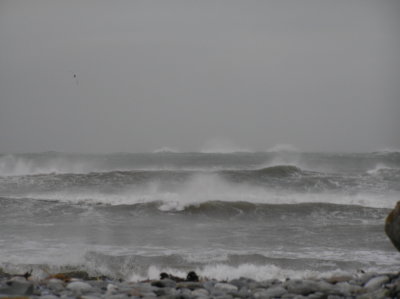 P1010017.JPG