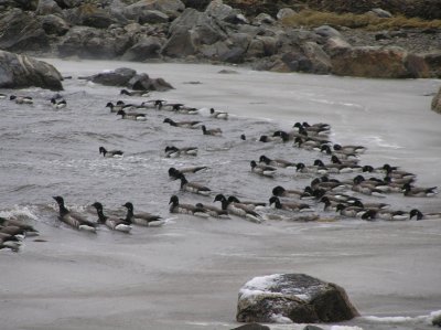 P1010007.JPG