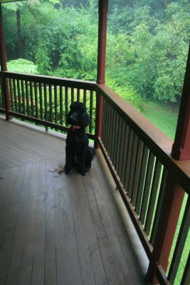 Veranda Meditation