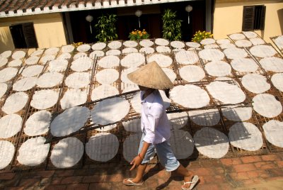 Production of rice pancakes in Hoi An