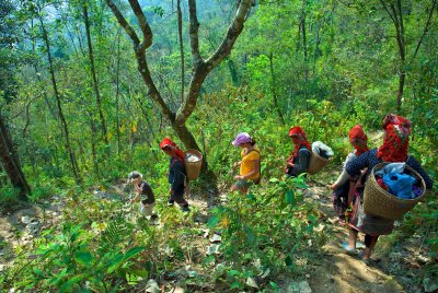 Trekking with Red Dao Women