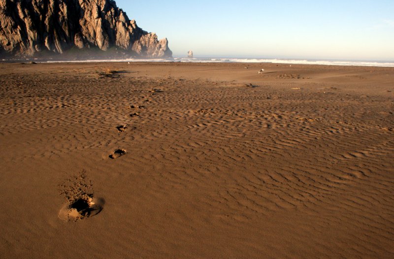 Beach Scene