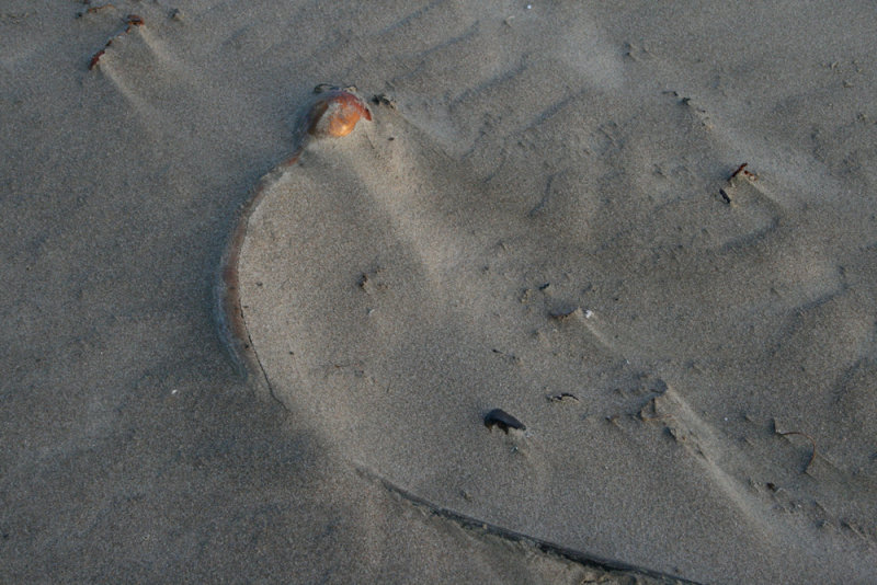 In the Sand