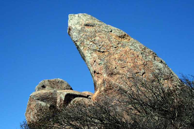 Bishop Peak Hike