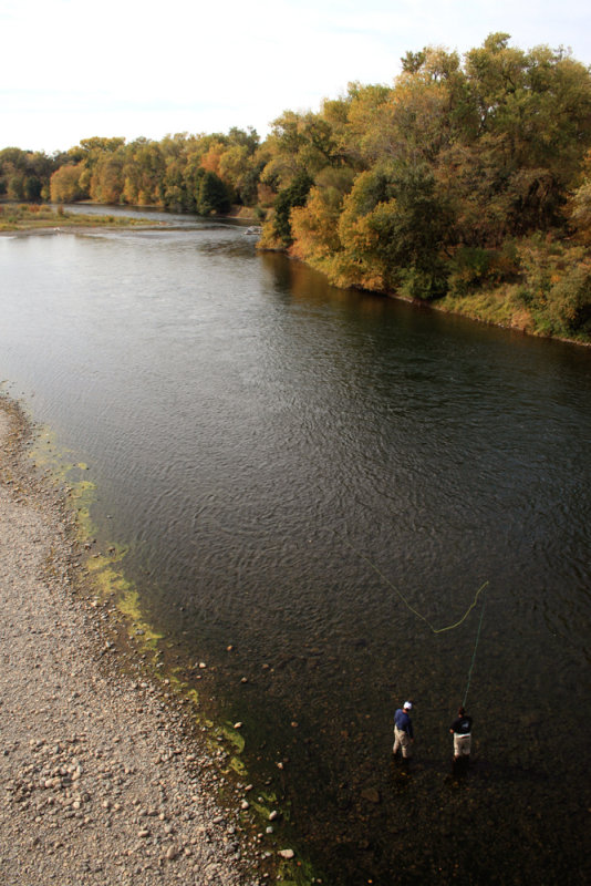 American River Bikeway
