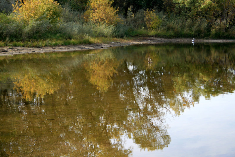 American River Bikeway