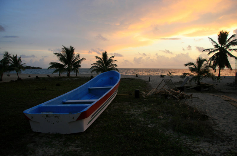 IMG_2781.JPG