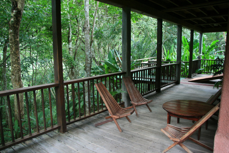 Overlooks the jungle