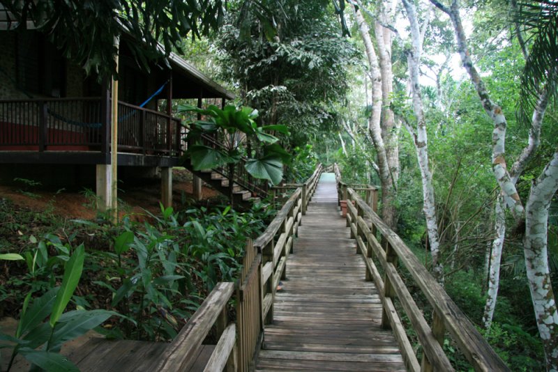 Path to our lodge