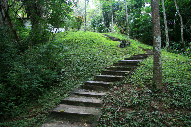 Steps down to the river