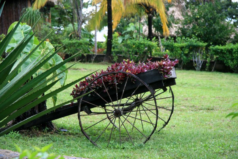 Grounds of the lodge