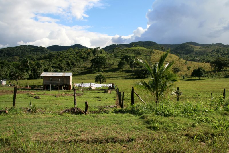 The road west