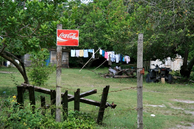 Coke is sold everywhere