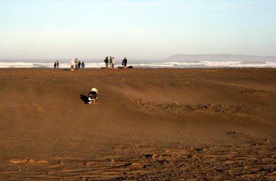 Beach Scene