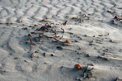 In the Sand