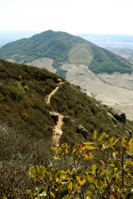 Bishop Peak Hike