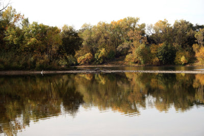 American River Bikeway