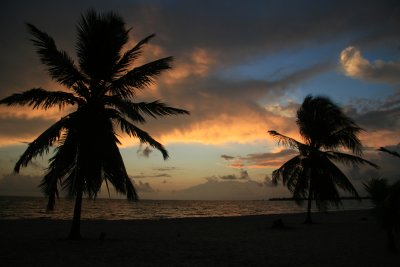 IMG_2784.JPG