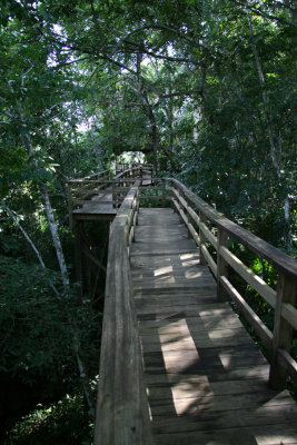 Canopied  walkway leads to a river overlook
