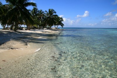Clear blue/green shore of caye