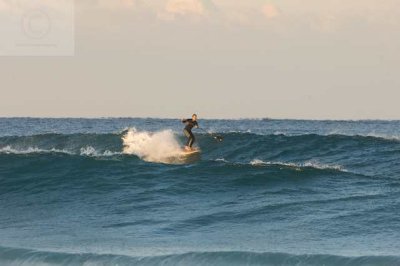 surfing delray  29994.jpg