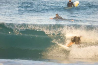 surfing delray  29995.jpg