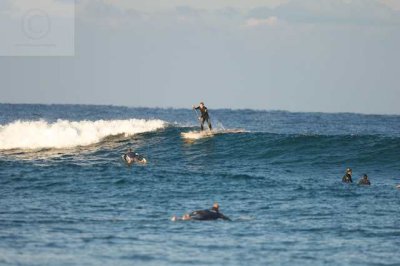 surfing delray  30106.jpg