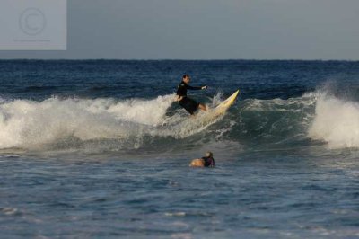 surfing delray  30137.jpg
