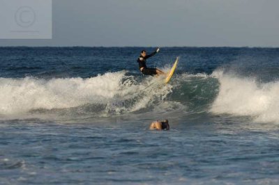 surfing delray  30138.jpg