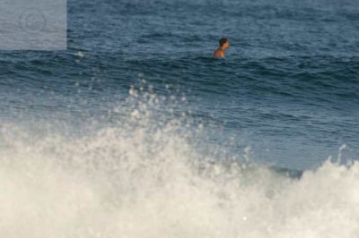 surfing delray  30210.jpg