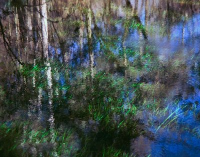 Trestle Point Monet