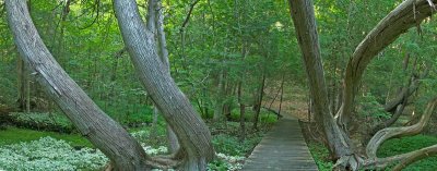 Lets go up the hill , Harbor Springs MI