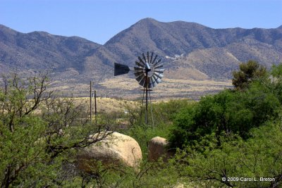 Texas Canyon IMG_3484