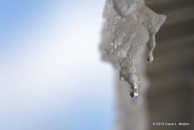 g3/15/762815/3/121434171.LiYNIbvn.jpg