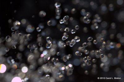 g3/15/762815/3/122324582.nVL5iJQ5.jpg