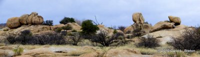 Texas Canon Pano