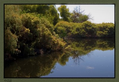 Sweetwater Wetlands