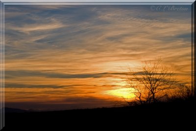 Nature's Painting
