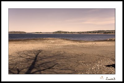 _MG_6787.jpg