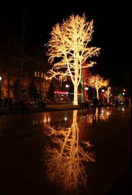 Electric Tree 2 Baku Azerbaijan.jpg