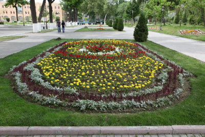 Local flower beds