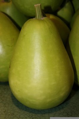 Huge Pear